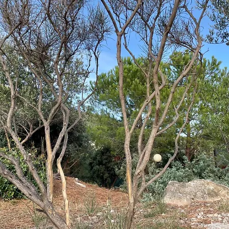 Apartment Viletta Mysea